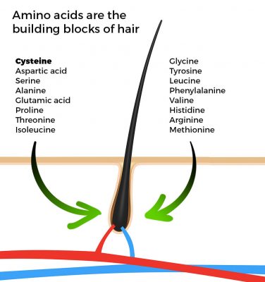 amino-acids-for-hair-growth